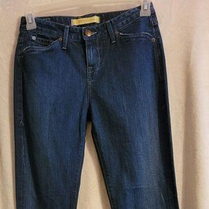 Agave Nectar Courage Jeans Sz 26